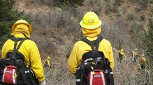 wildland training